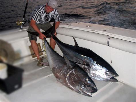Big game fishing Croatia .
